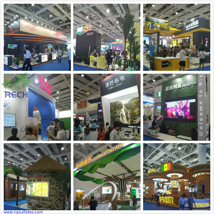 China-Africa Economic and Trade Expo3