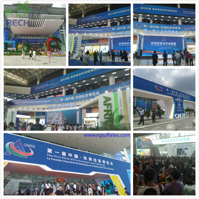 荣庆化工预祝第一届中非经贸博览会在湖南省长沙市圆满举办成功